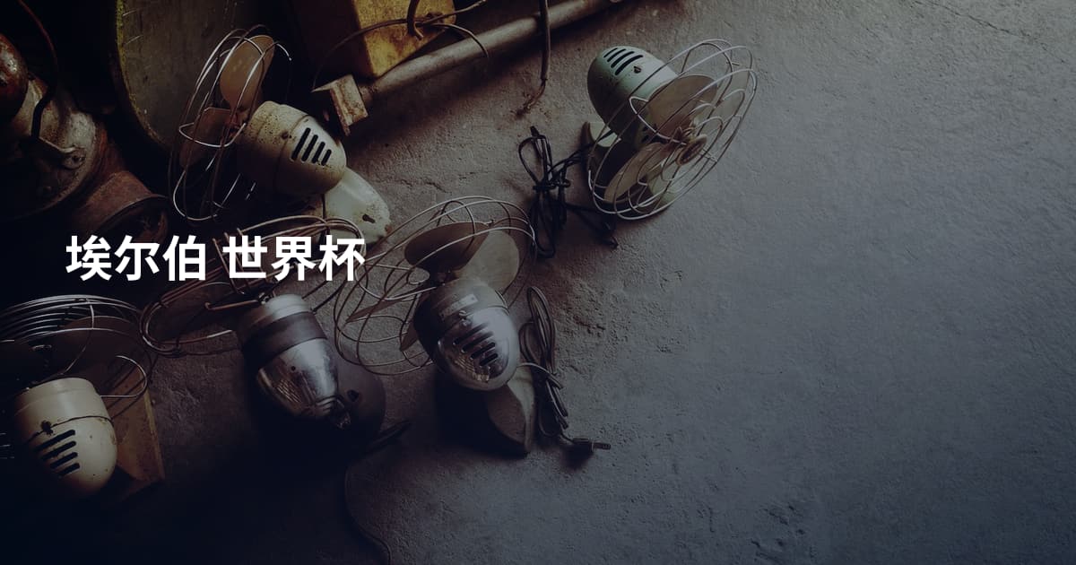 埃尔伯 世界杯