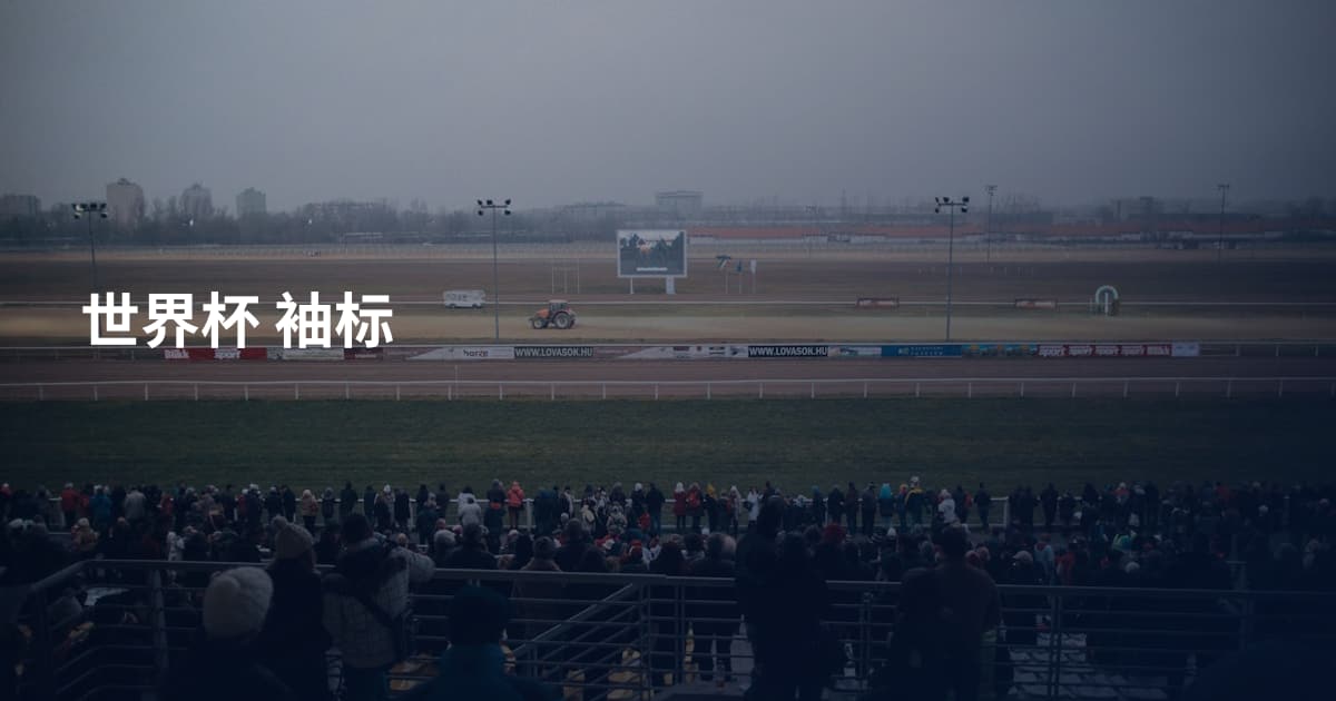 世界杯 袖标