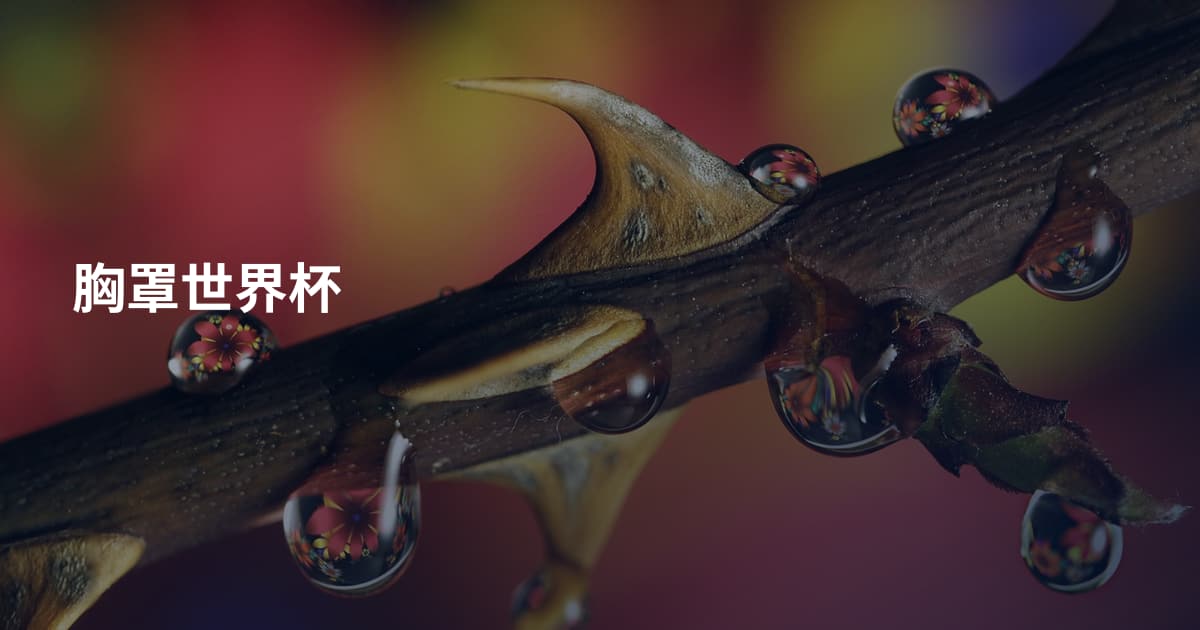 胸罩世界杯