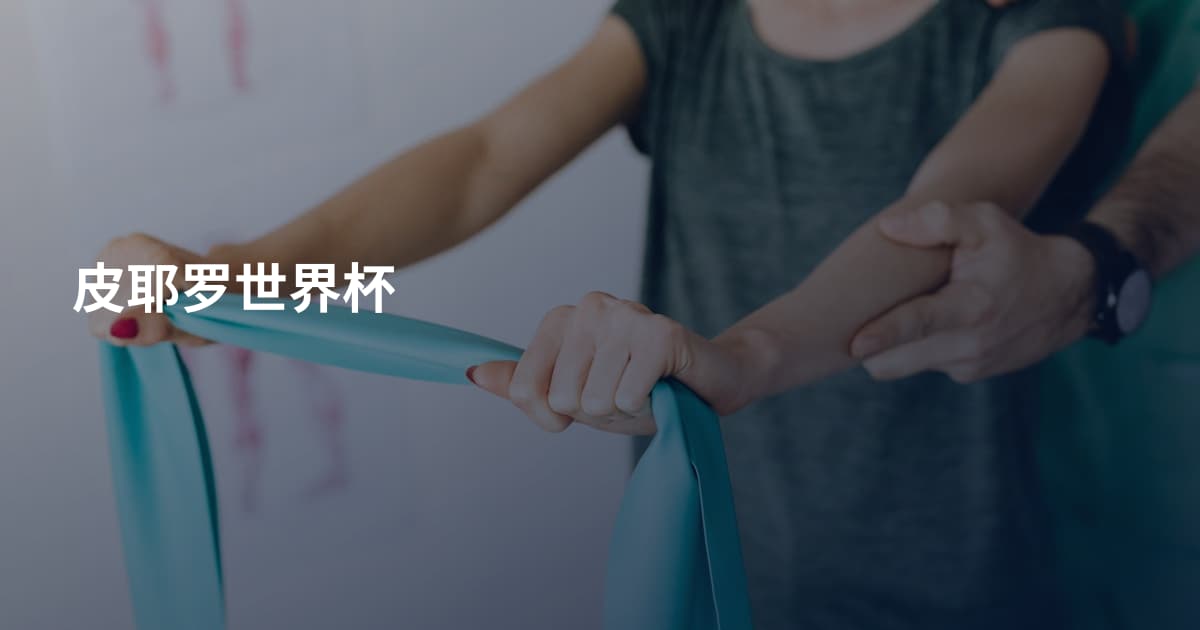 皮耶罗世界杯