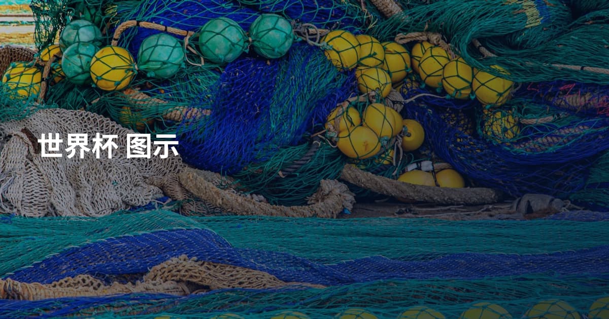 世界杯 图示