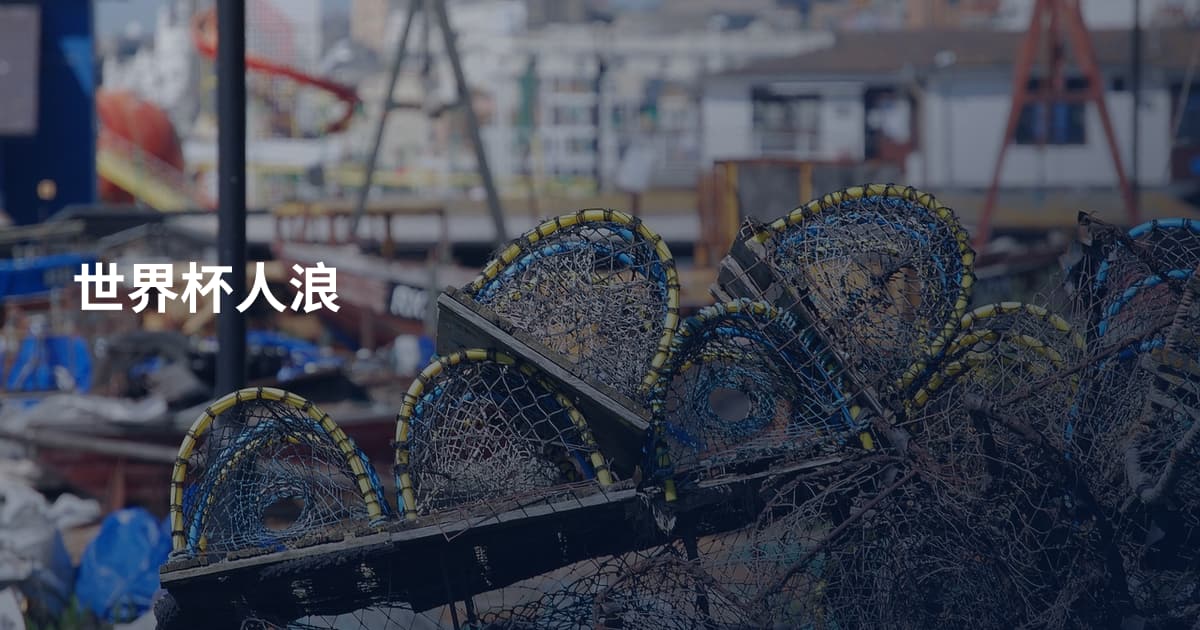 世界杯人浪