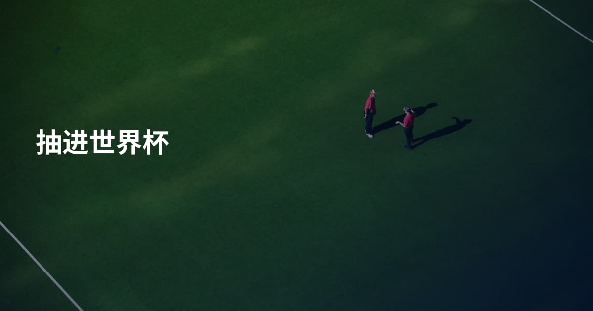 抽进世界杯