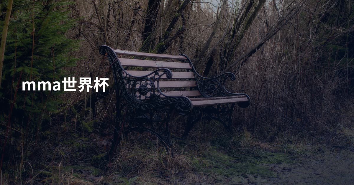 mma世界杯