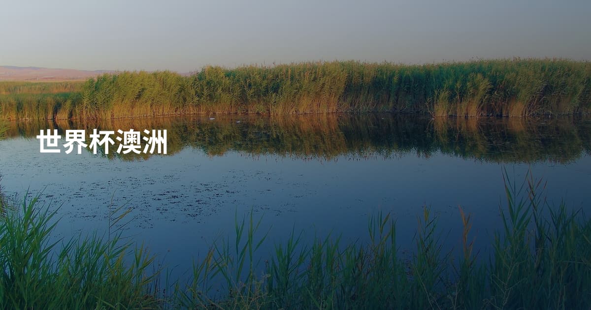 世界杯澳洲