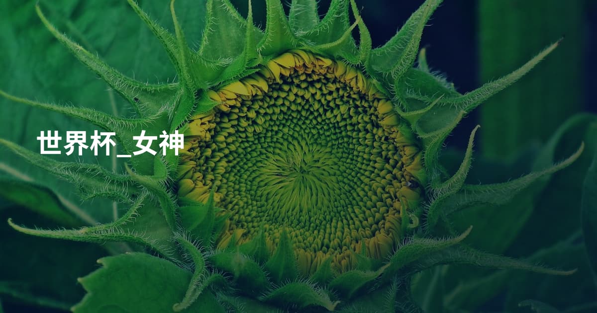 世界杯_女神