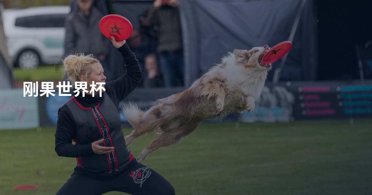 刚果世界杯