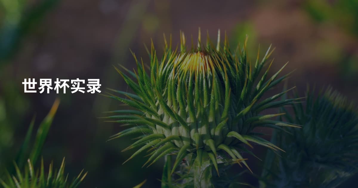 世界杯实录