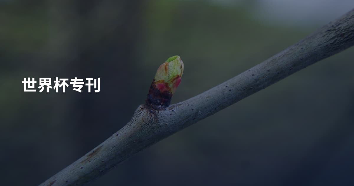 世界杯专刊