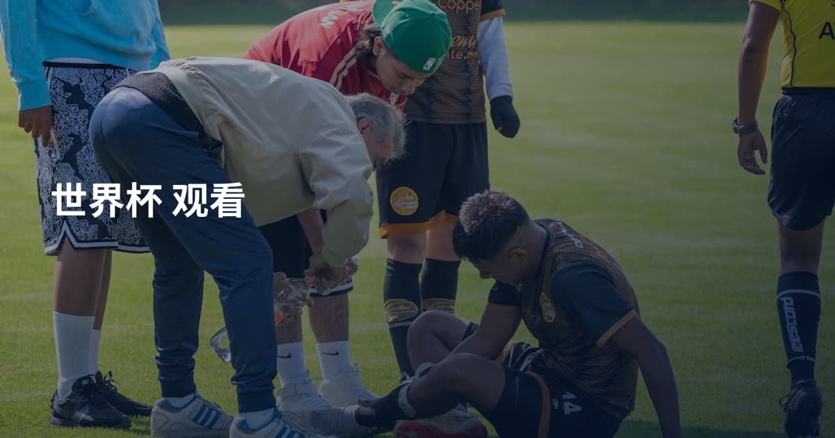 世界杯 观看