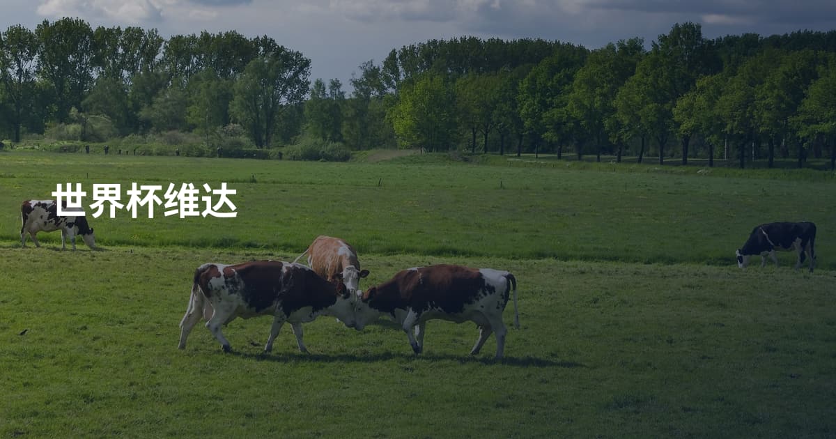 世界杯维达