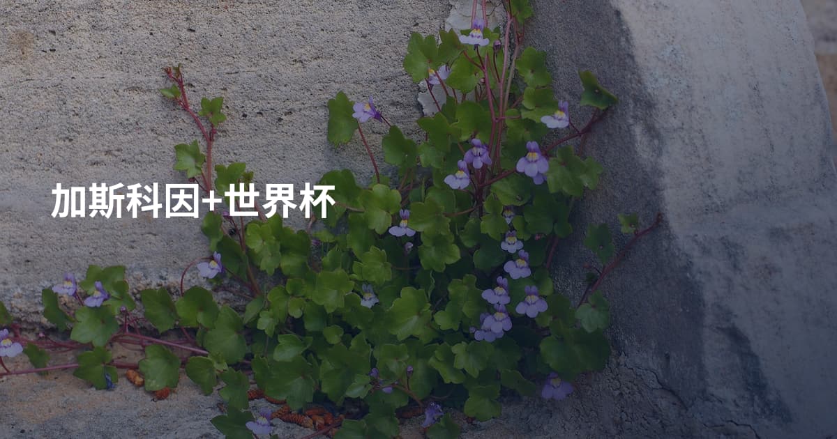 加斯科因+世界杯
