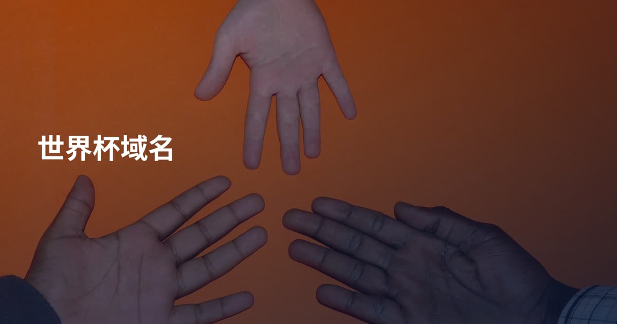 世界杯域名