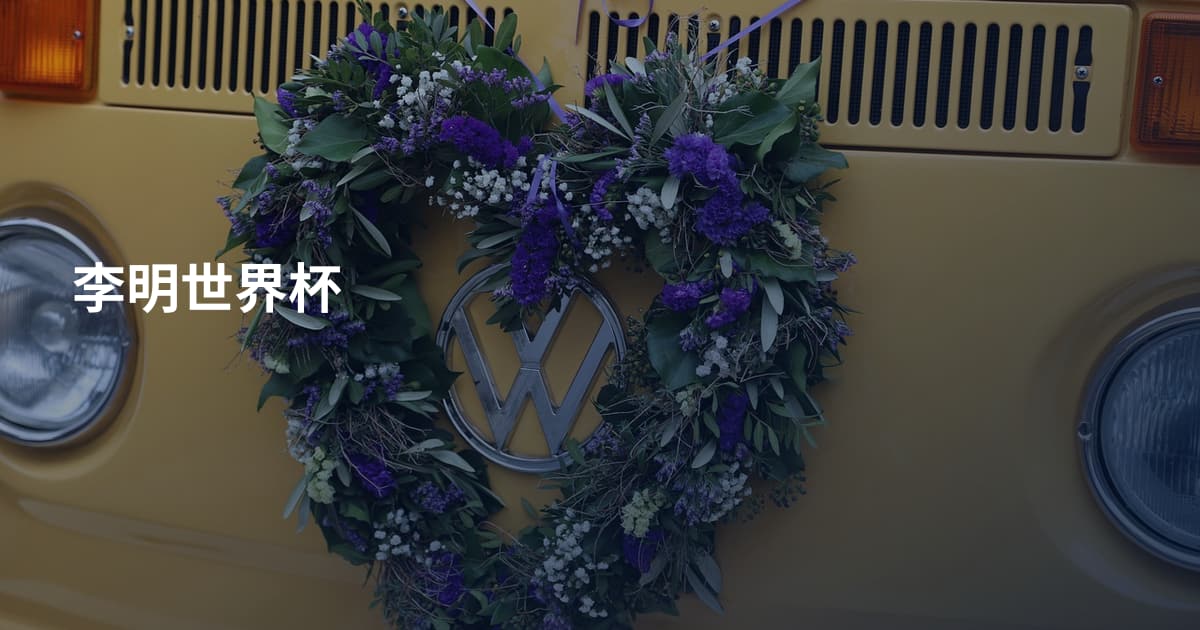 李明世界杯