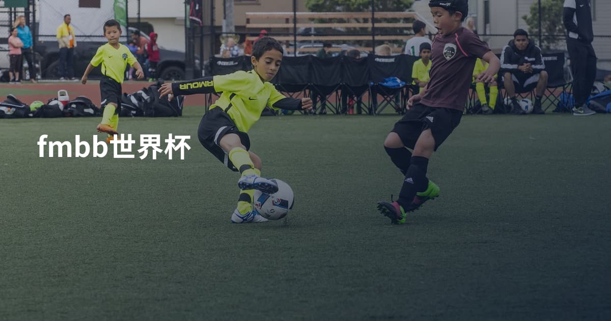 fmbb世界杯