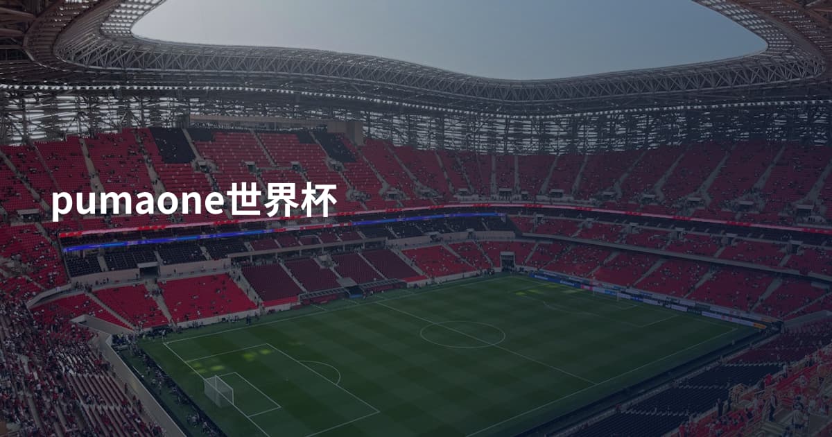 pumaone世界杯