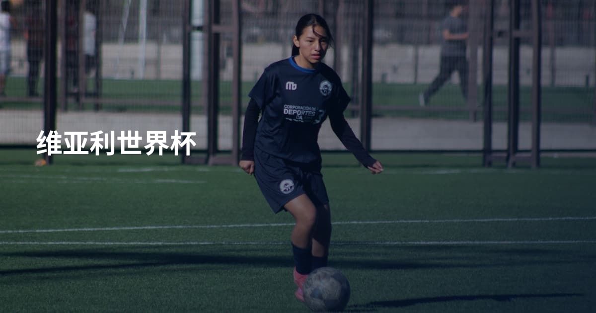 维亚利世界杯