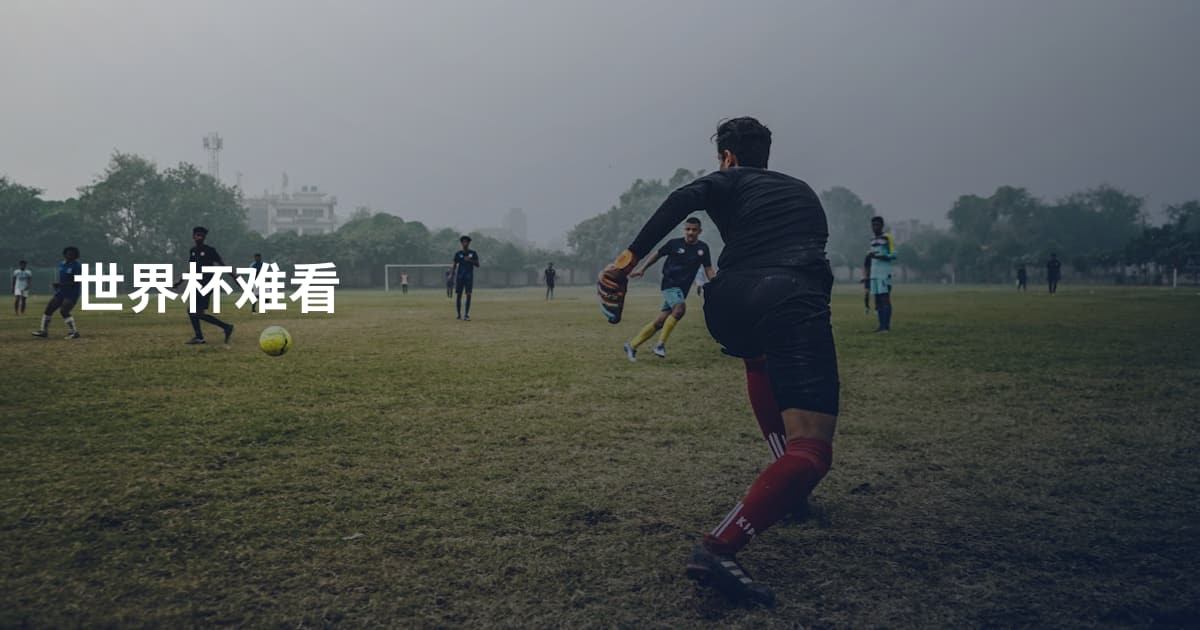 世界杯难看