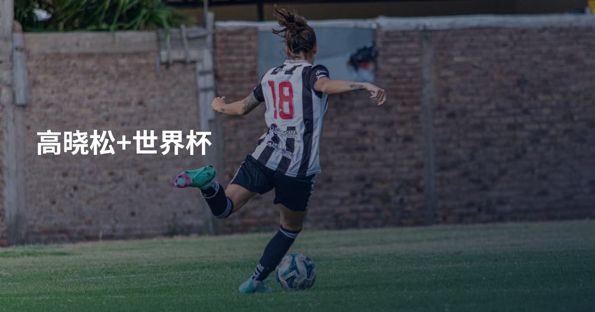 高晓松+世界杯