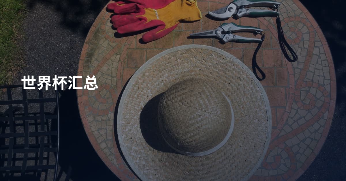 世界杯汇总