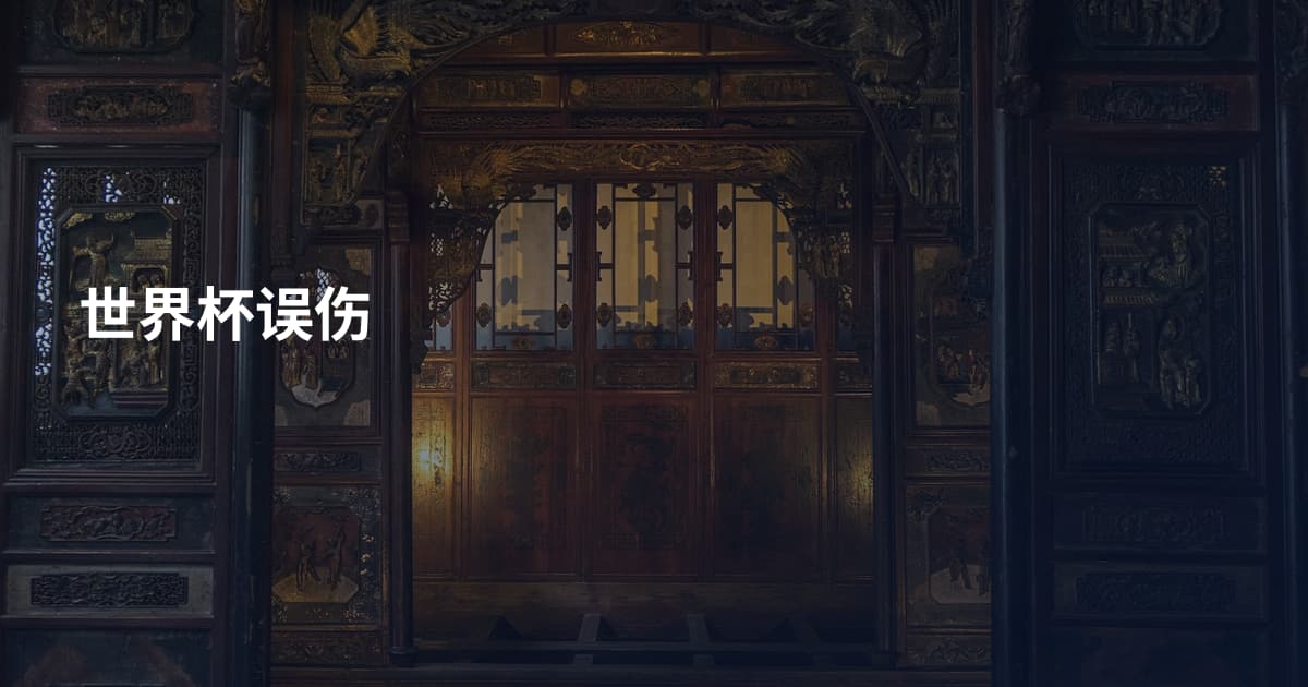 世界杯误伤
