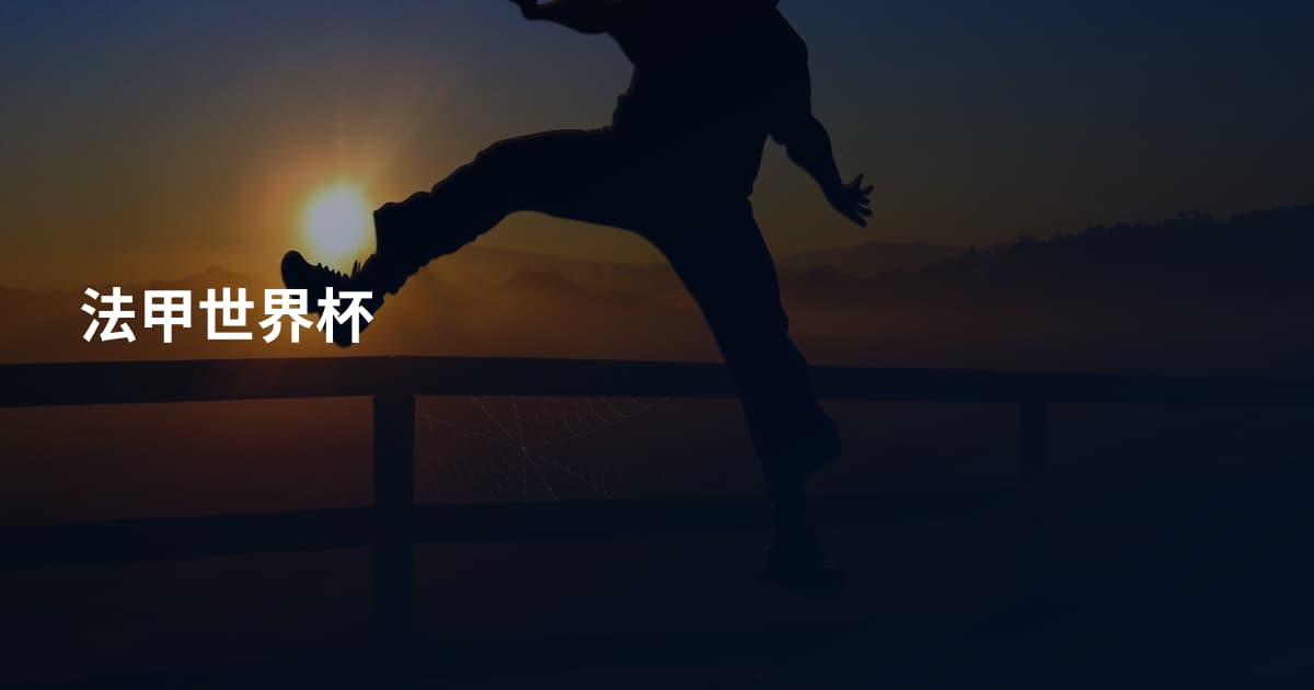 法甲世界杯