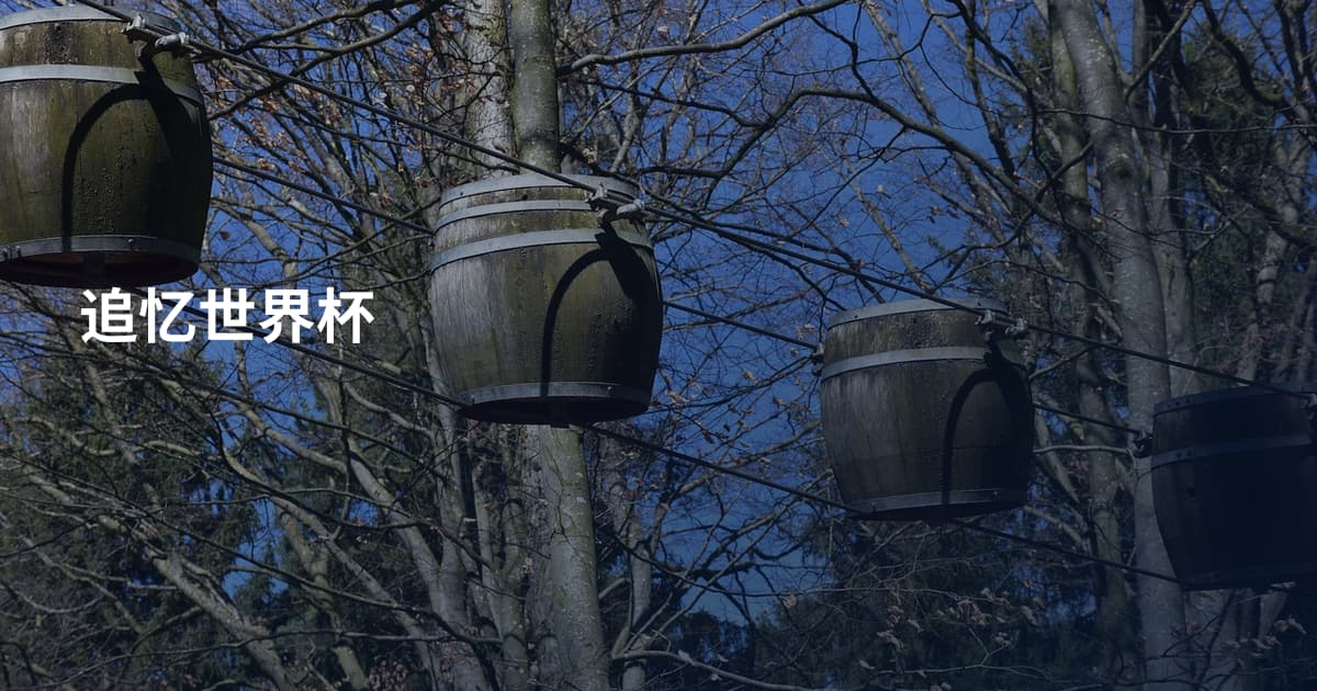 追忆世界杯