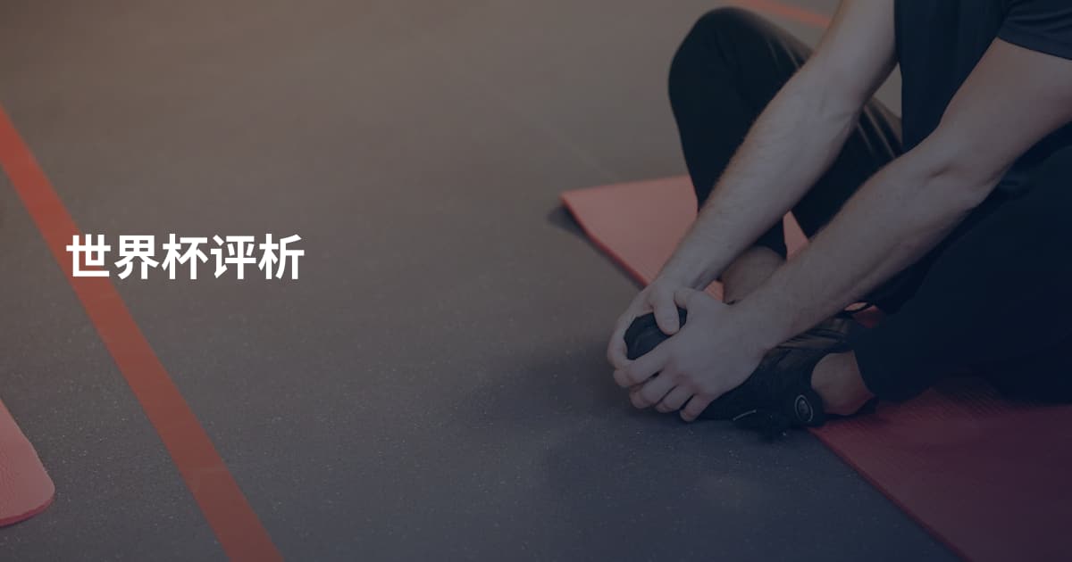 世界杯评析