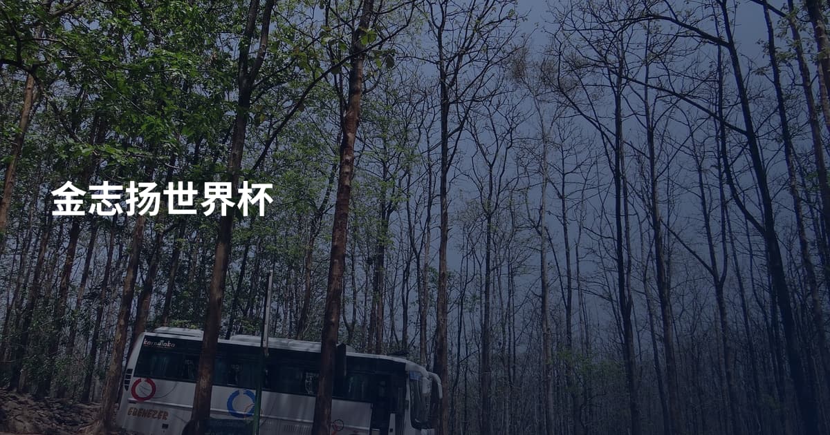 金志扬世界杯