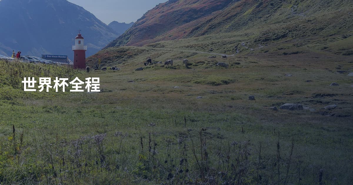 世界杯全程