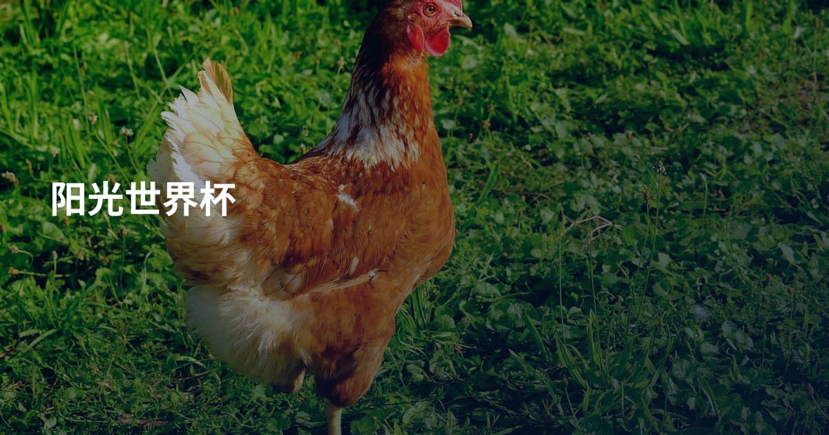 阳光世界杯