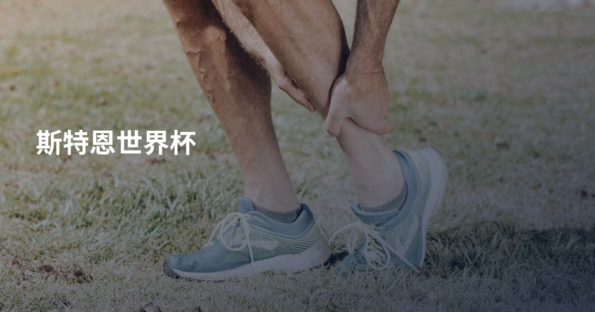 斯特恩世界杯