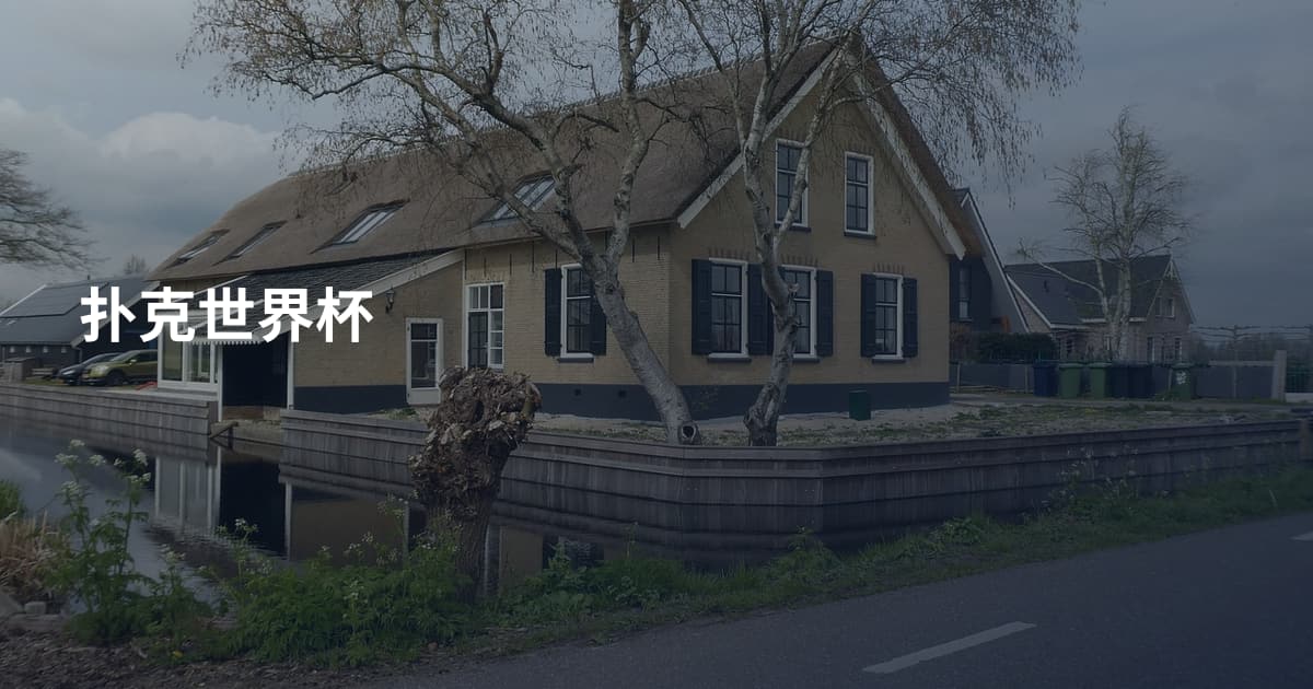 扑克世界杯