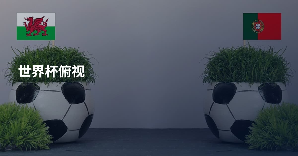 世界杯俯视