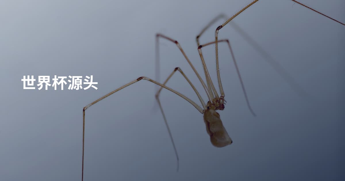世界杯源头