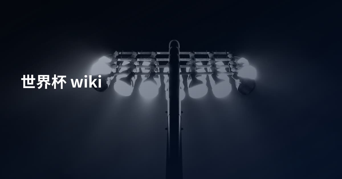 世界杯 wiki