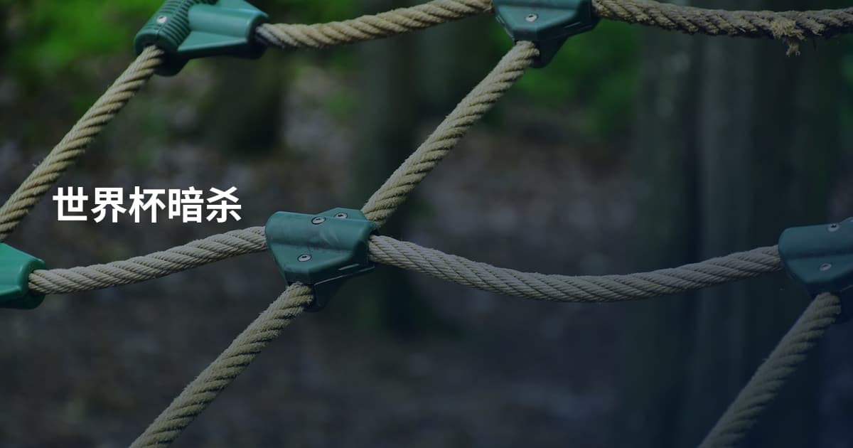 世界杯暗杀