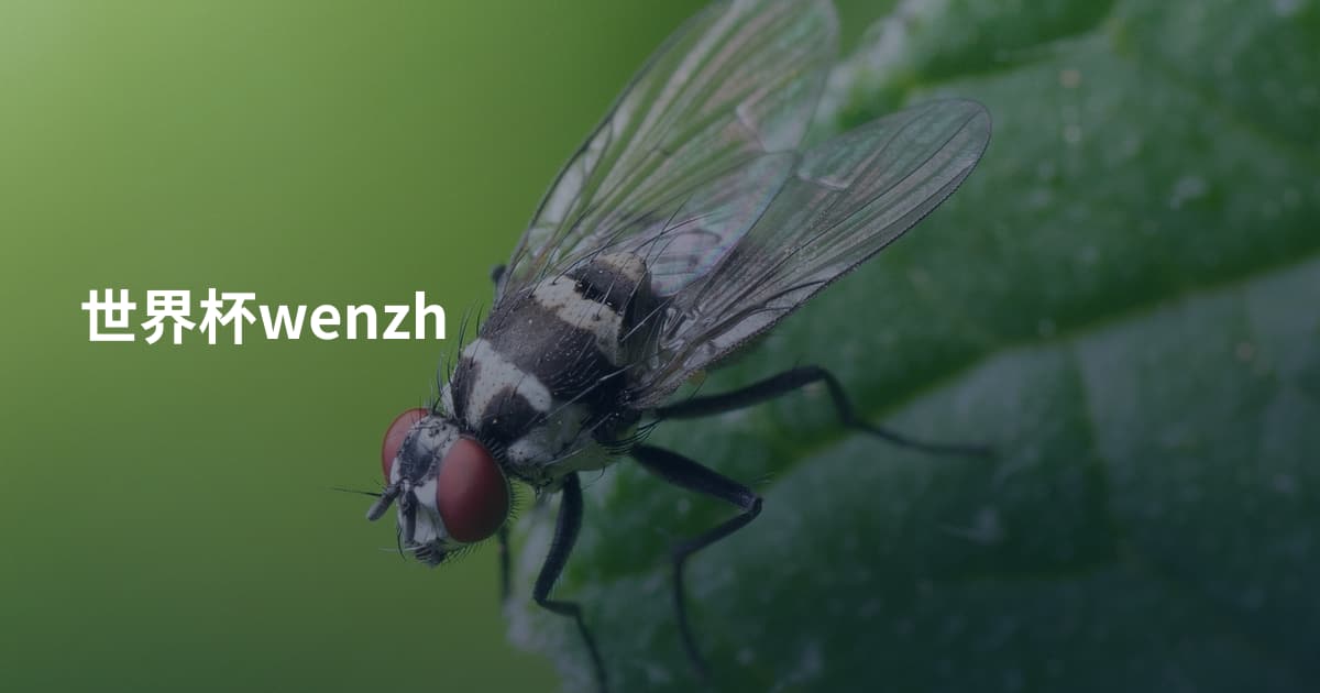 世界杯wenzh