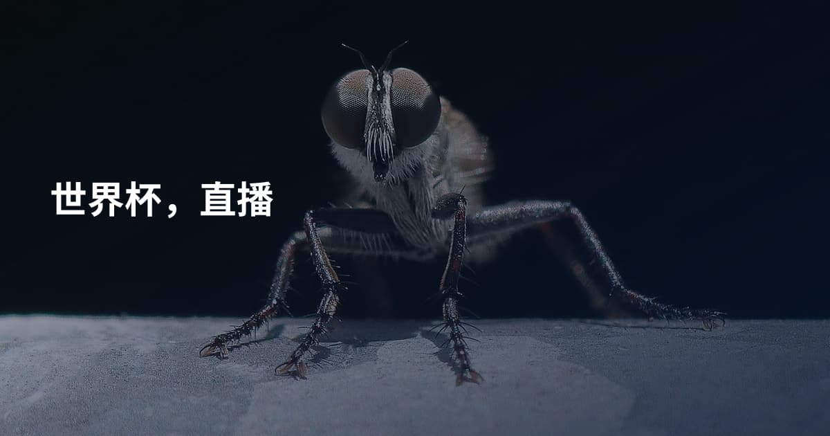 世界杯，直播