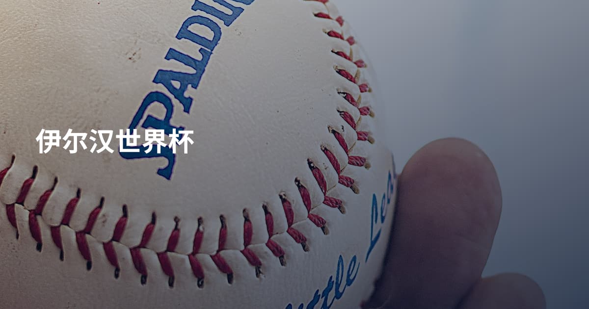 伊尔汉世界杯