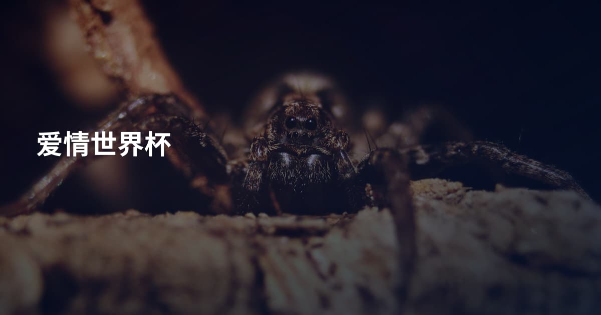爱情世界杯