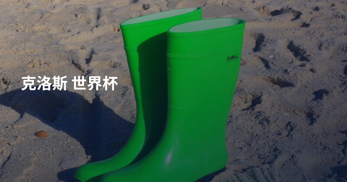克洛斯 世界杯