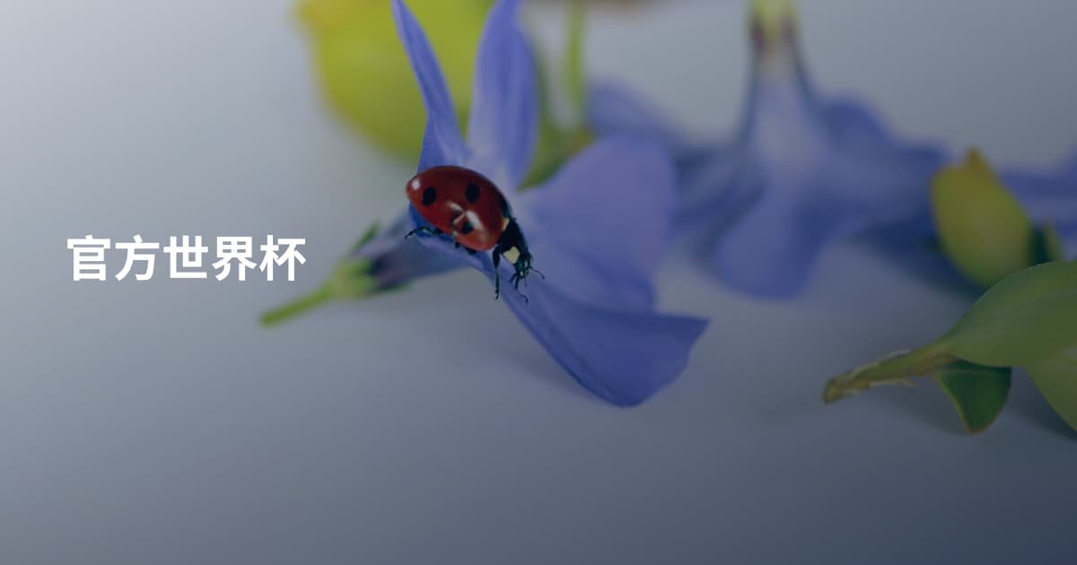 官方世界杯