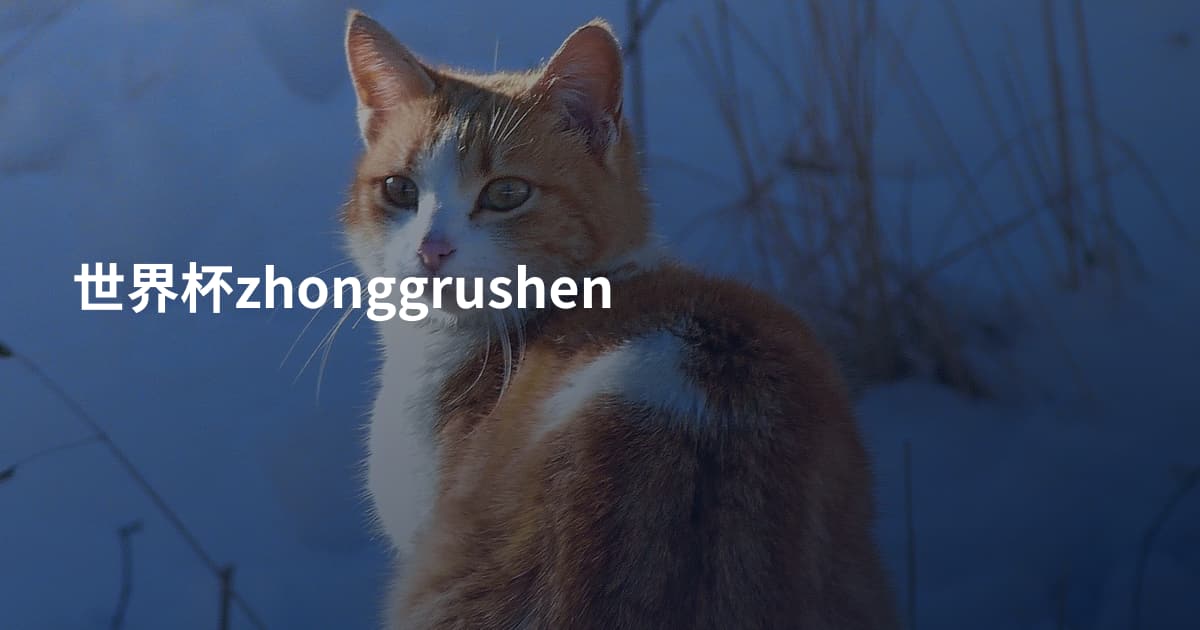 世界杯zhonggrushen
