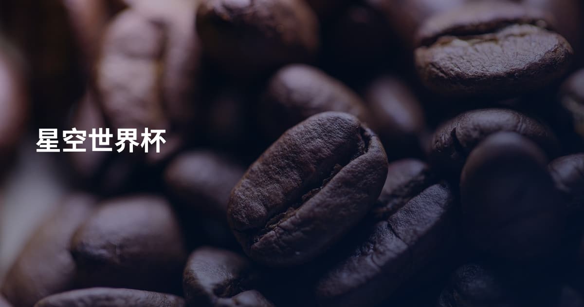星空世界杯