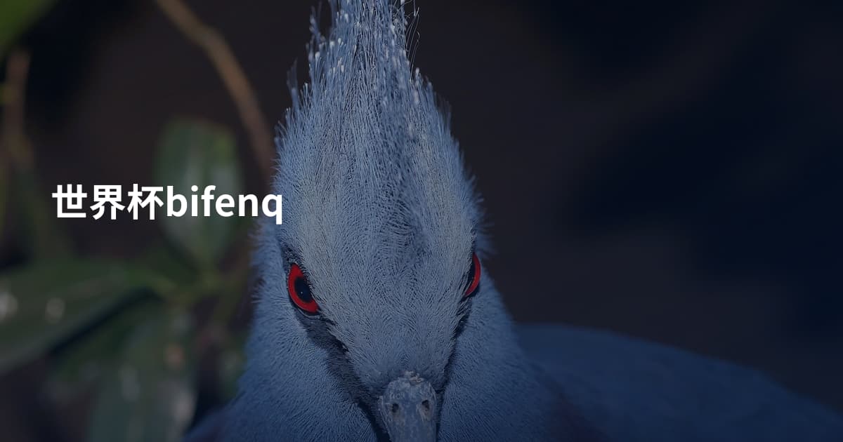 世界杯bifenq