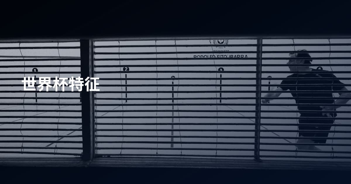世界杯特征