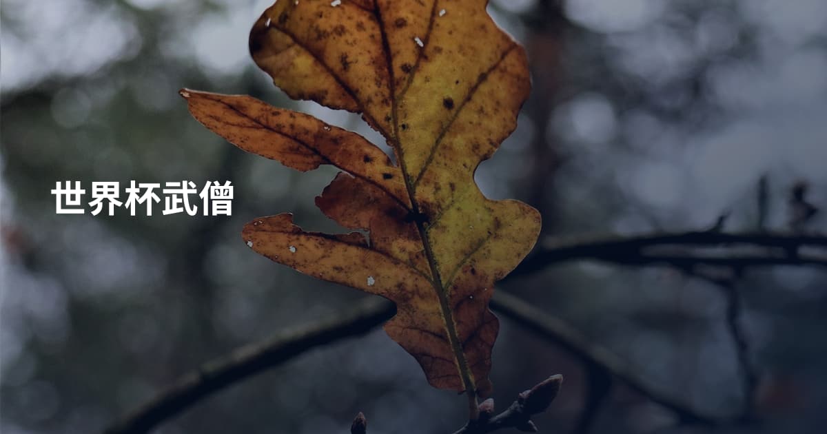世界杯武僧