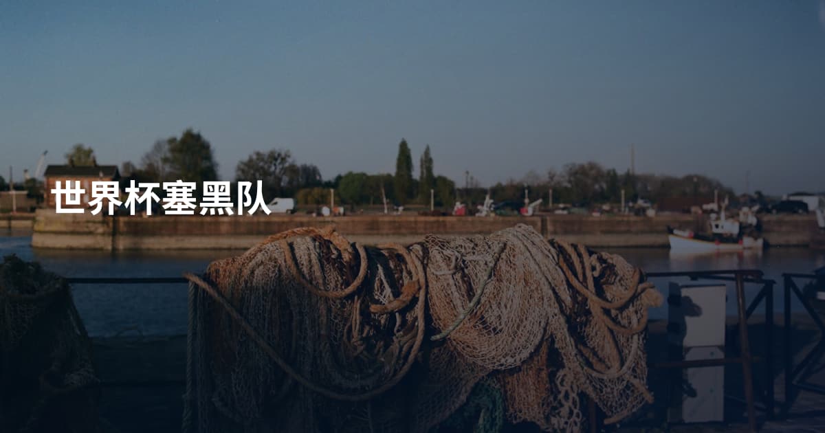世界杯塞黑队
