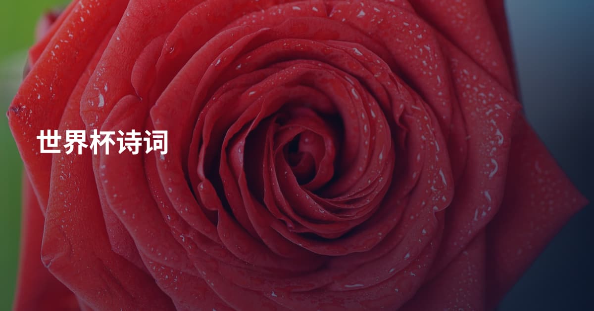 世界杯诗词
